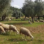 Casa La Tia Appartamento *